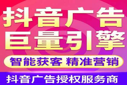 信息流广告投放公司案例行业洞察